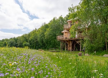 De ultieme boomhut belevenis  - 3