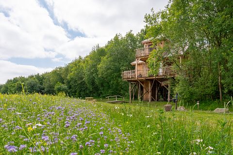De ultieme boomhut belevenis  - 3