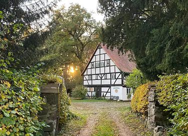 Historische watermolen in groene omgeving - 1