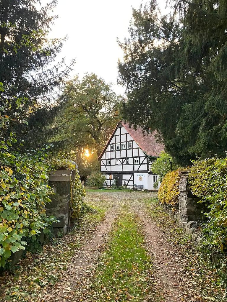 Historische watermolen in groene omgeving - 1