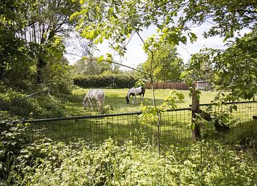 Capanna sull'albero in Belgio con vasca idromassaggio - 27