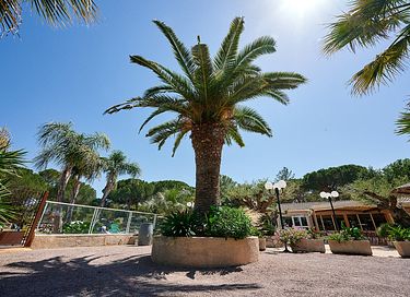 Glamping dans un camping familial sur la Côte d'Azur - 16