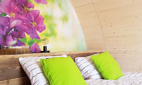 Tiny House in prachtige omgeving - 5