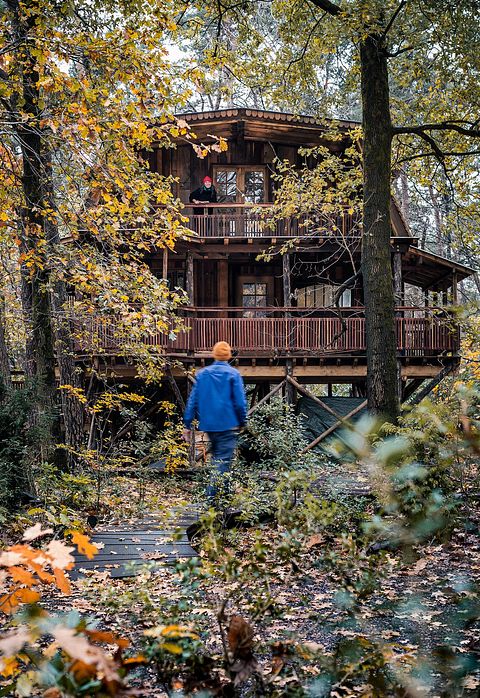 Luxe en ruime boomhut voor 6 personen - 2