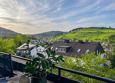 Apartment in the Sauerland with a view - 42