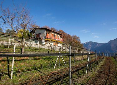 Vakantie in de bergen met prachtig uitzicht - 17