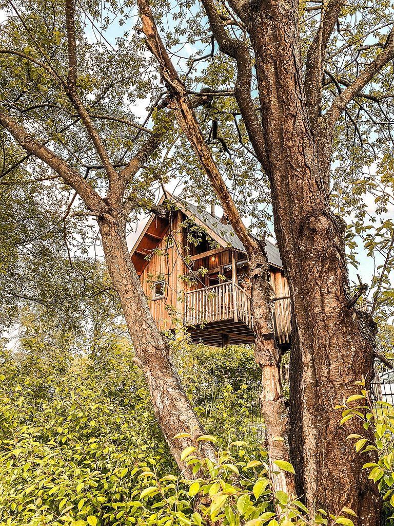 Maison dans les arbres à Overijssel au bord d'une rivière - 1