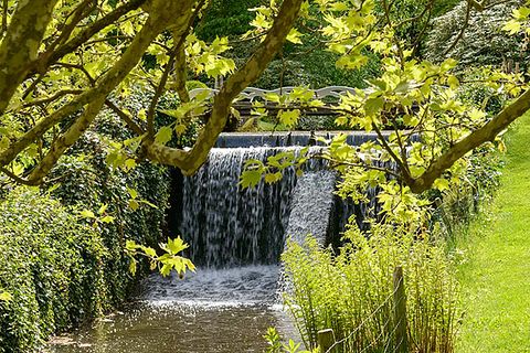 Unique B&B on an estate with a waterfall - 4