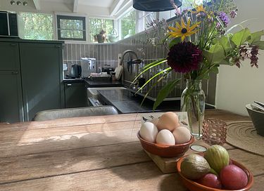 Luxe boshuis met houtkachel en veel privacy - 17