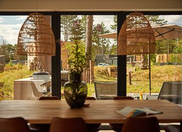 Wellness lodge (8p) in Drenthe - 17