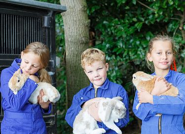 Luxe familielodge met hottub in Twente - 23