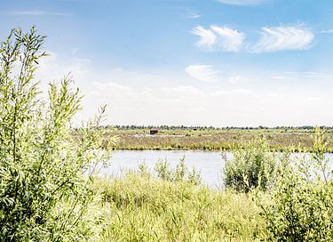 Panorama tent op uniek eiland in Zuid-Holland - 26