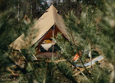Festival-achtige sfeer op een pop-up camping - 7