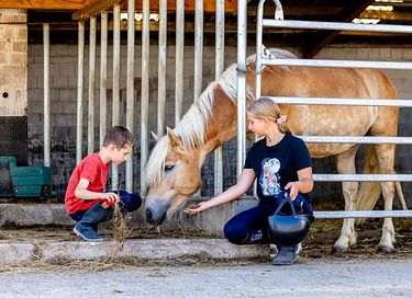 Glamping dans une ferme équestre et laitière - 22