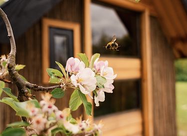 Romantisch tiny house op mooi landgoed - 6