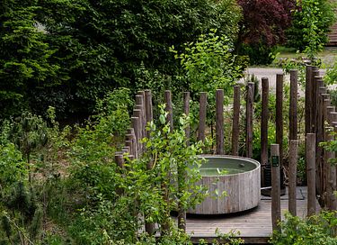 De koning onder de glamping tenten!  - 6