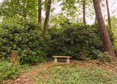 Romantic cottage in the forest with fireplace - 43
