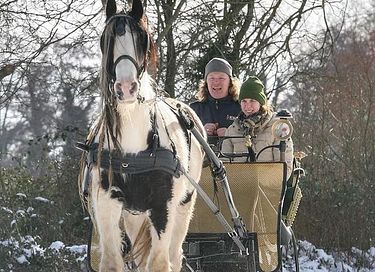 Glamping (5p) near Zutphen - 35