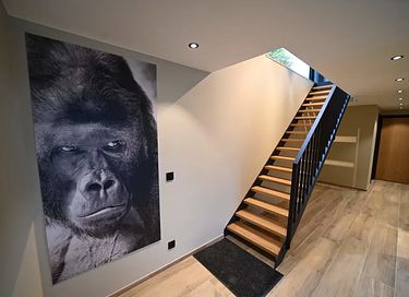 Villa avec piscine intérieure dans les Ardennes - 19