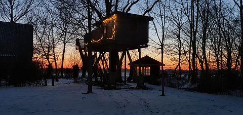 Splendide cabane à arbres en Frise - 2