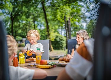 Logement de vacances design dans le Veluwe - 31