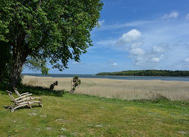 Stilvolle Ferienwohnung auf der Insel Rügen - 13
