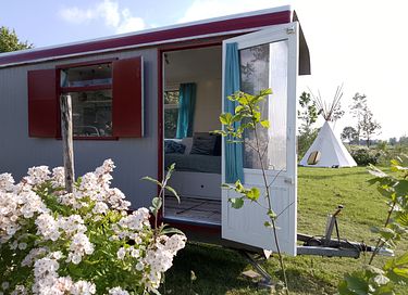 Pipowagen met comfort van een huisje - 1