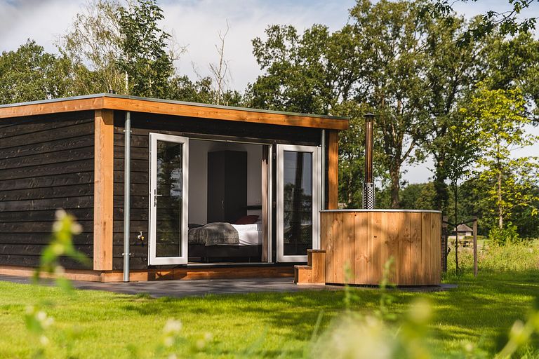 Lodge de luxe avec sauna et bain à remous à Overijssel - 1
