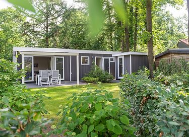 Knusse vrijstaande lodge op de Veluwe