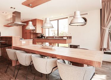 Luxury wellness villa on Texel - 5
