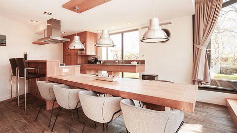 Luxury wellness villa on Texel - 5