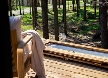 Boshuisje met buiten bad en douche - 3