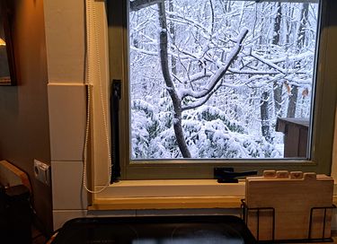 Cabane en bois dans la forêt - 11