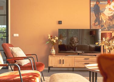 Luxury wellness villa in Friesland - 7