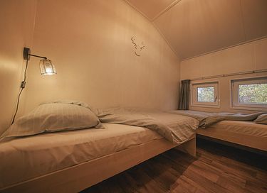 Ferienhaus in der Natur Overijssel (6p) - 13