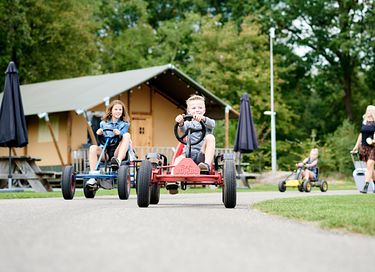Luxe safaritent op park in Overijssel - 34