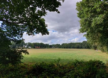 Waldhaus mit herrlicher Aussicht - 35