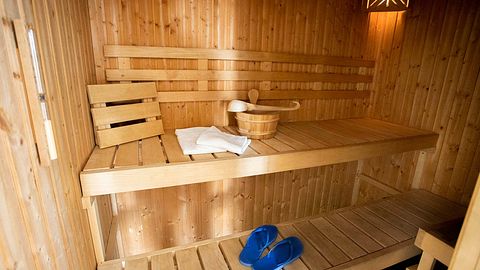 Luxury vacation home with sauna in Eifel - 5