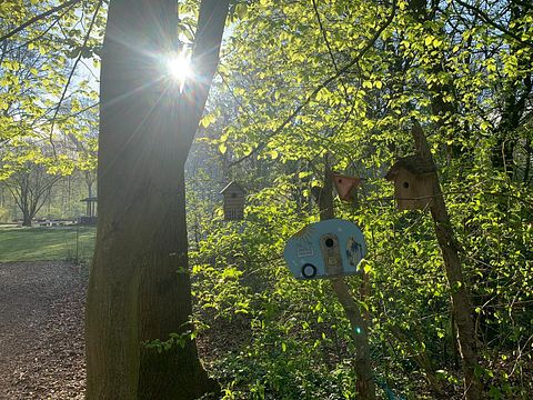 Slapen in een indiaanse tipi voor 6 personen - 3