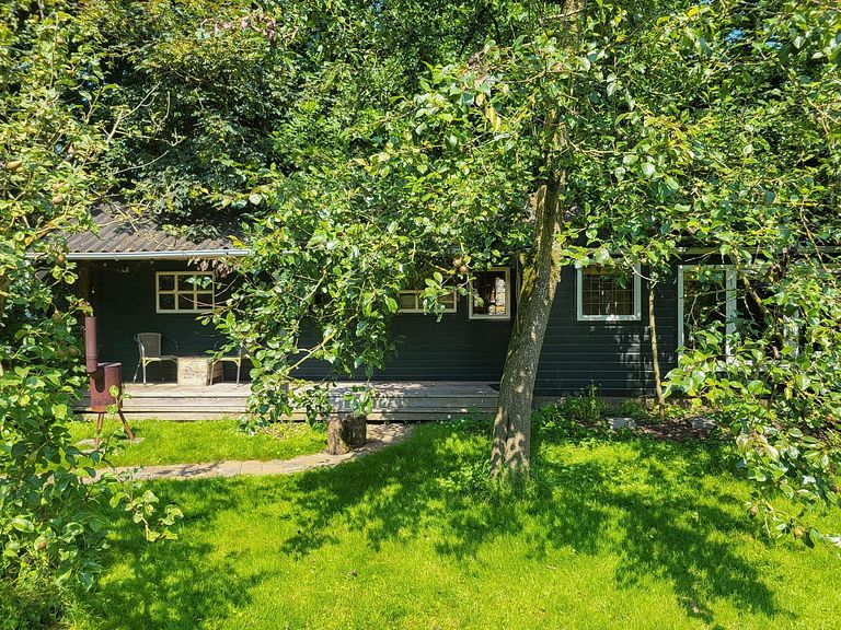Ferienhaus in der Natur zwischen den Weiden - 1