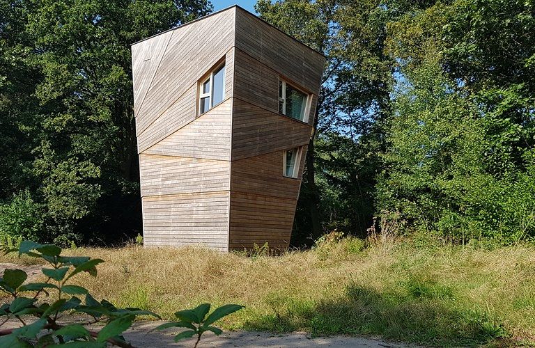 Forest cabin with unique roof terrace on the Veluwe - 1