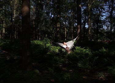 Glamping in de natuur met meditatie/yoga - 8
