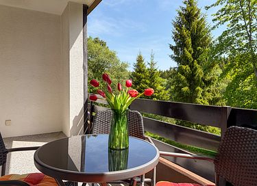 Ferienwohnung im Sauerland - 33