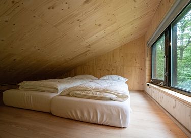 Prachtig tiny house in het bos - 10
