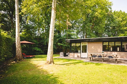 Bungalow in bosrijke omgeving - 2