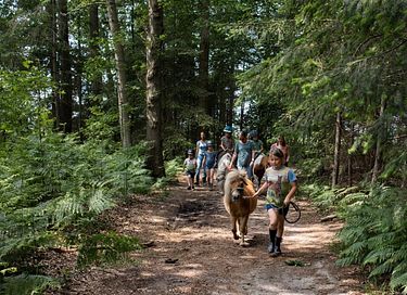 Glamping op Paarden & ponyboerderij - 16
