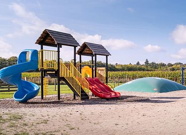 Feriehus i Drenthe med wellness og privatliv - 29