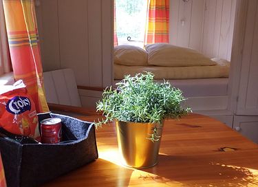 Ruime pipowagen centraal in Nederland - 5