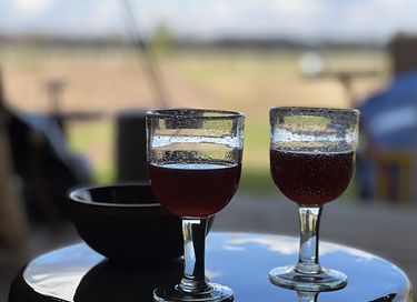 Tipi-Übernachtung mit Hottub - 14