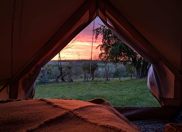Glamping tent in the Belgian countryside - 18